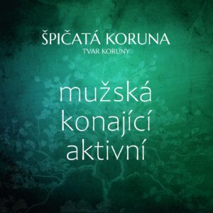 Špičatá koruna - symbolika