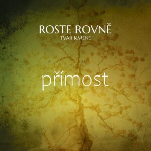Strom roste rovně - symbolika