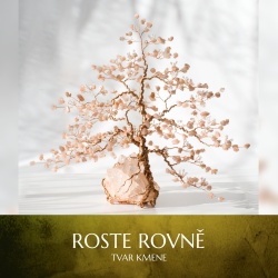 Roste rovně