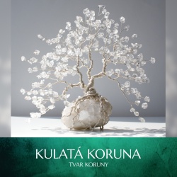 Kulatá koruna