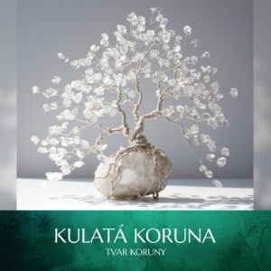 Tvar koruny - kulatá koruna