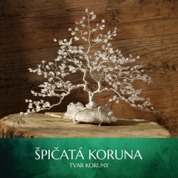 Špičatá koruna