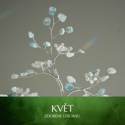 Květ