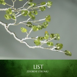 List