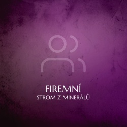 Firemní (projekt/podnikání)